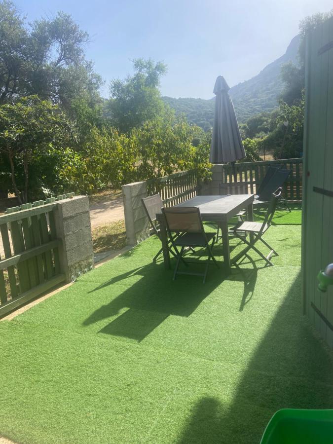Appartement Proche Du Depart Du Gr20 เกเลนซานา ภายนอก รูปภาพ